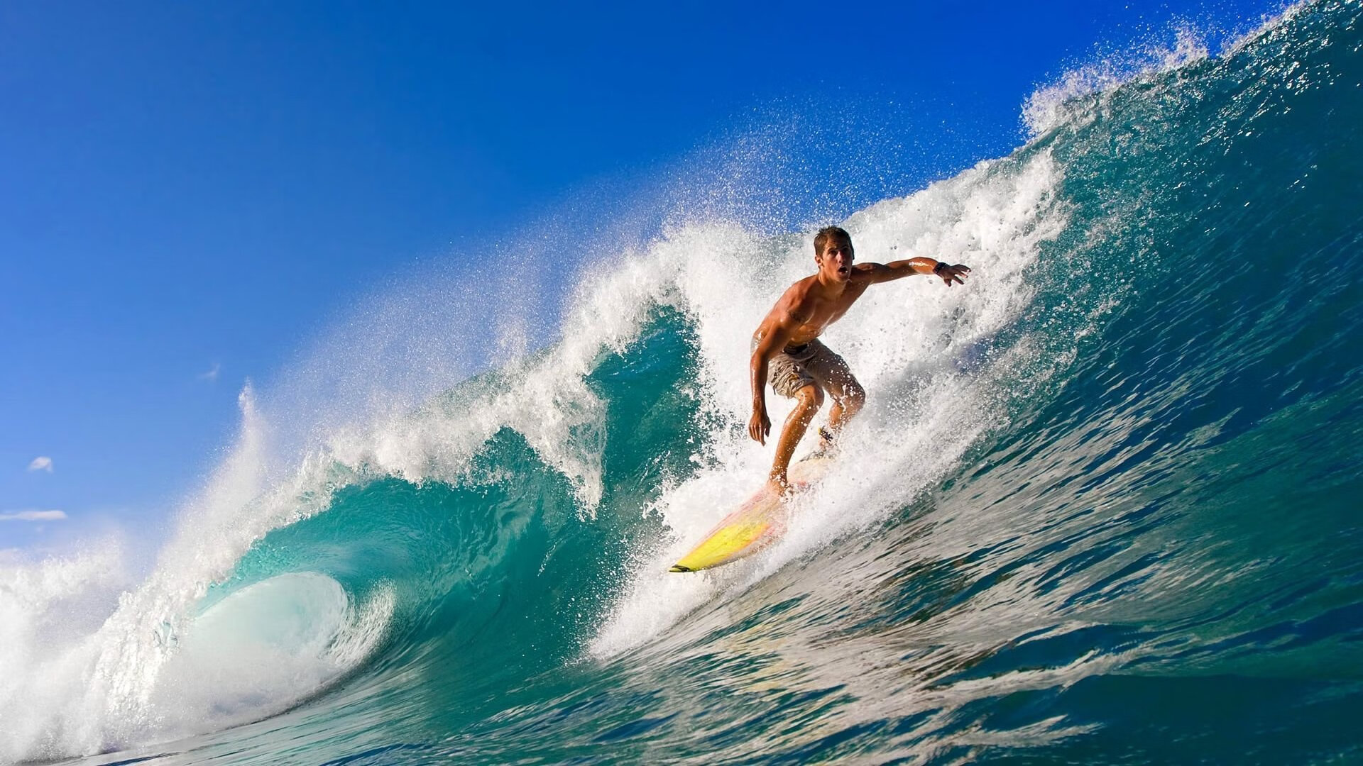 逆转与统治，樊振东领衔的中国队如何击碎德国战车