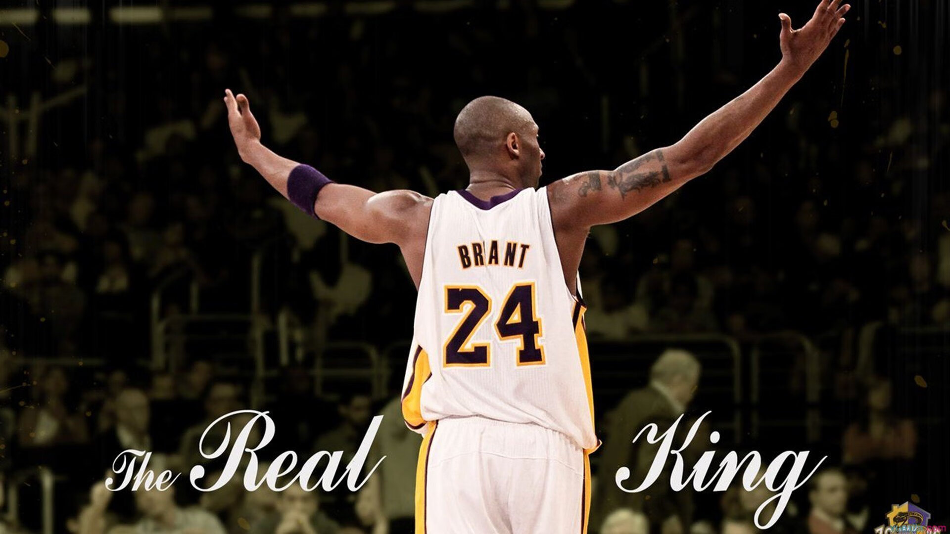 开云体育APP下载-广州队碾压福建队，孙铭徽统治全场